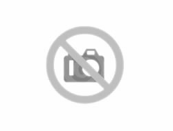 Watermeloen muntijs biologisch op stok 70 ml per stuk, doos 24 stuks